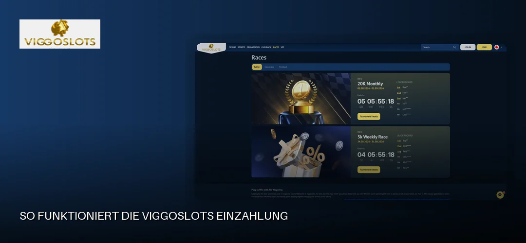 Viggoslots promotional banner