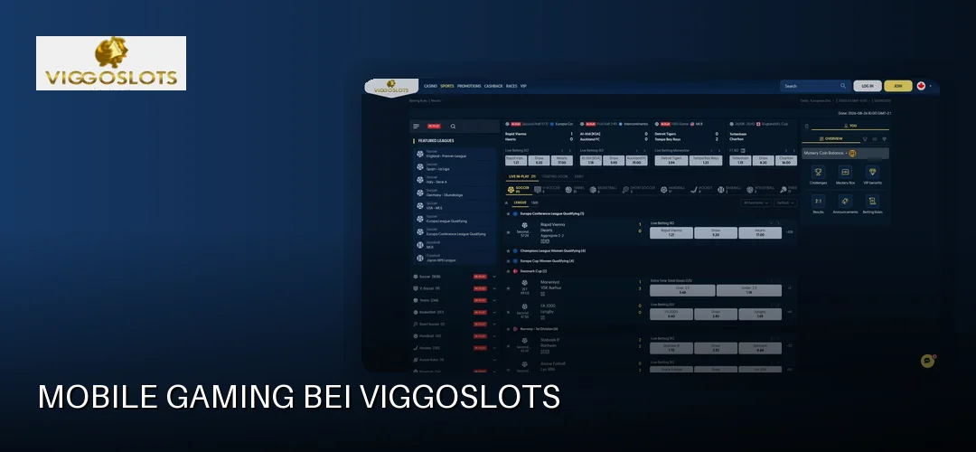 Viggoslots promotional banner